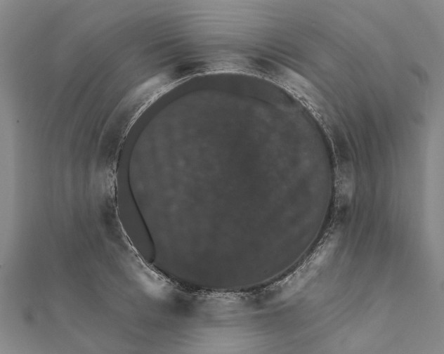 X0000111580993200908131315