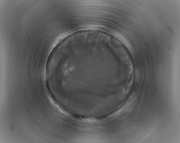 X0000111580994200908131315