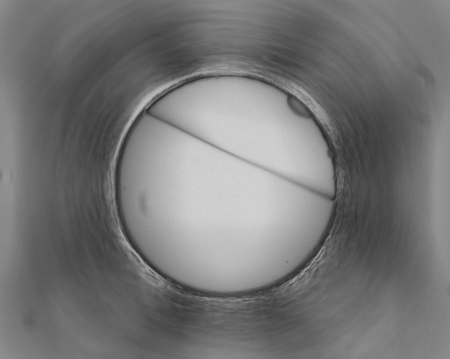 X0000111580996200908131315