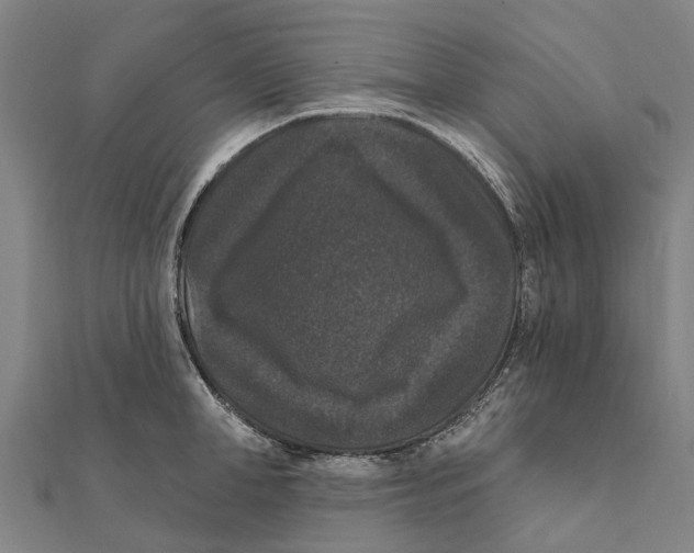 X0000111580998200908131315