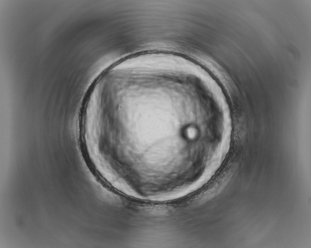 X0000111580999200908131315