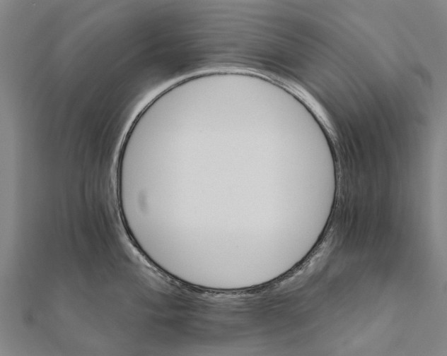 X0000111581004200908131314