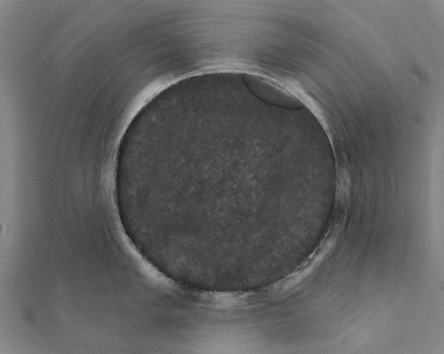 X0000111581005200908131314