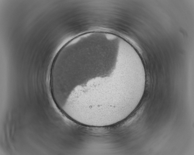 X0000111581007200908131314