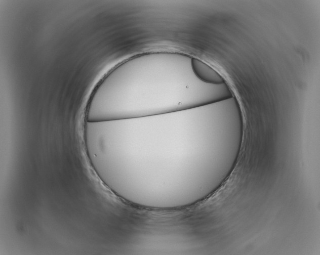 X0000111581008200908131314