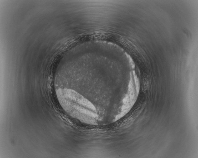 X0000111581010200908131314