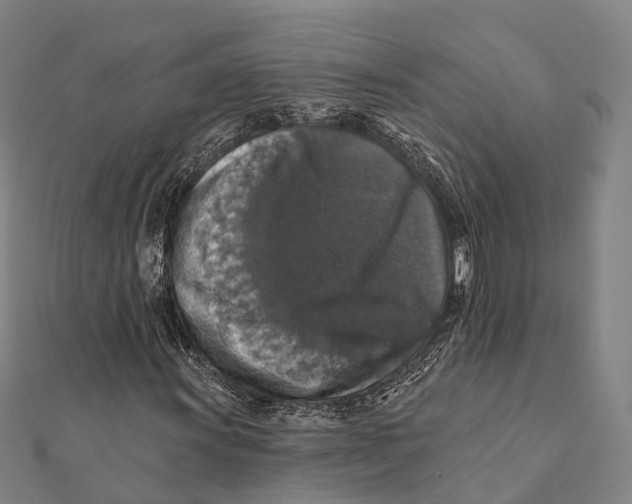 X0000111581011200908131314