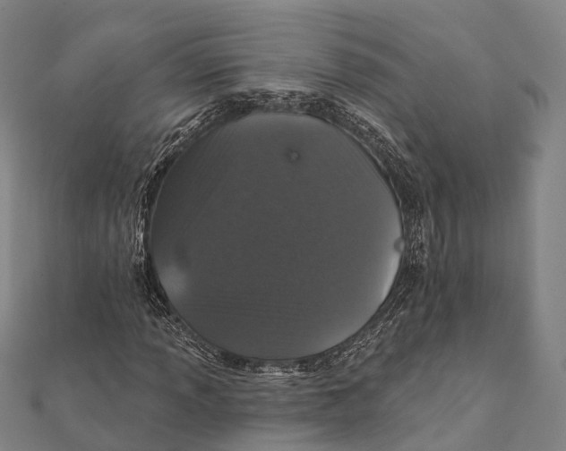 X0000111581013200908131314