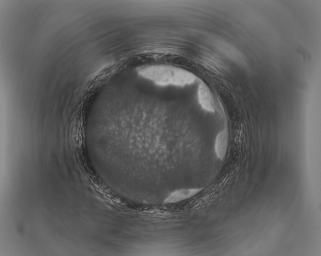 X0000111581014200908131314