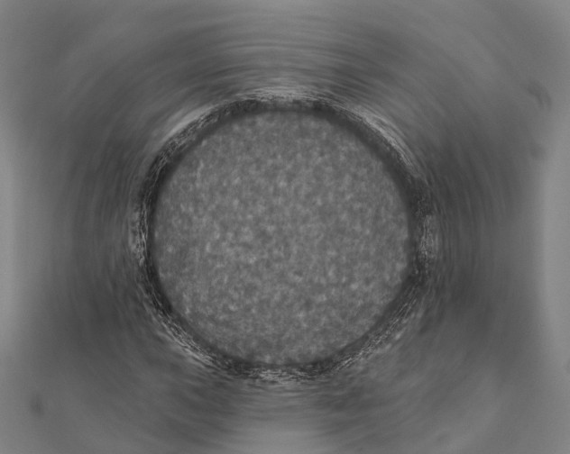 X0000111581015200908131314