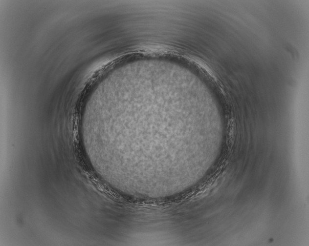 X0000111581016200908131314