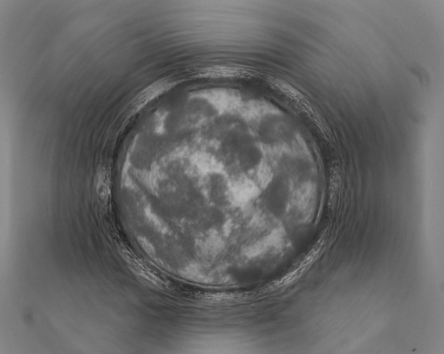 X0000111581017200908131314