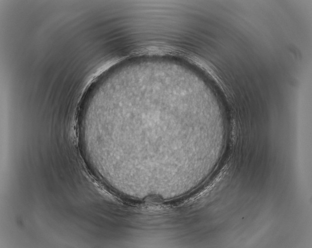 X0000111581018200908131314