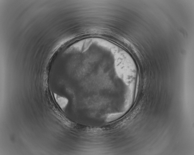 X0000111581019200908131314