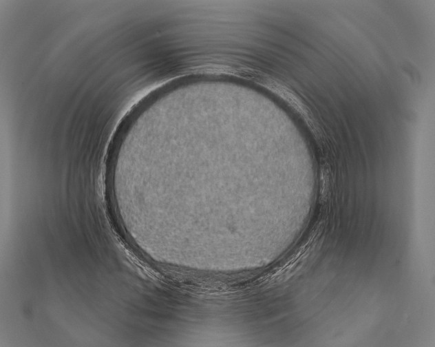 X0000111581020200908131314