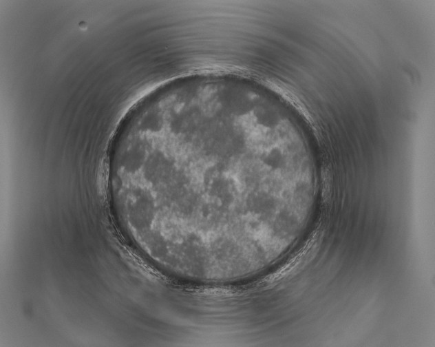 X0000111581021200908131314