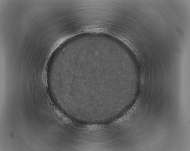 X0000111581022200908131314