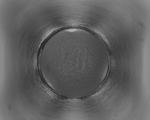 X0000111581023200908131314