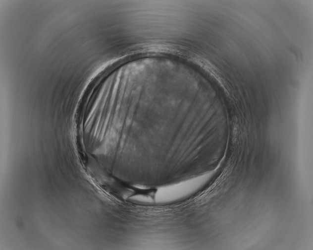 X0000111581024200908131314