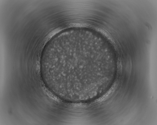 X0000111581025200908131314