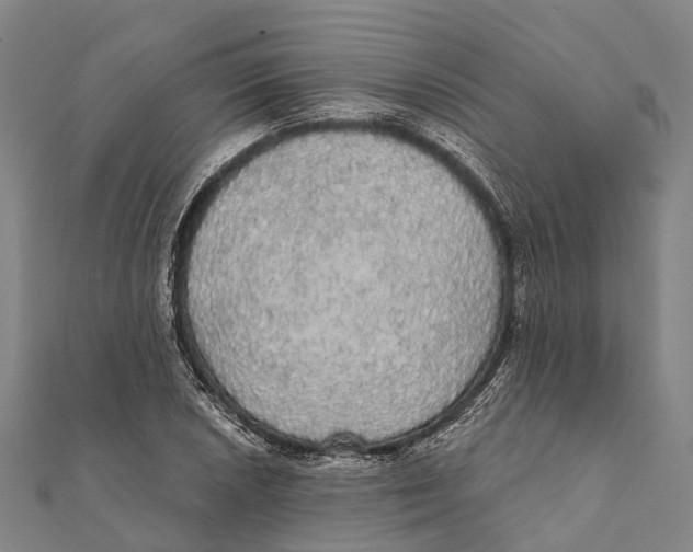 X0000111581026200908131314