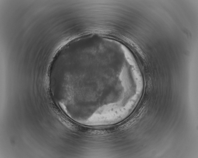 X0000111581027200908131314