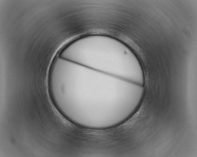 X0000111581028200908131314