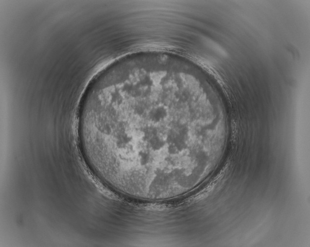 X0000111581029200908131314