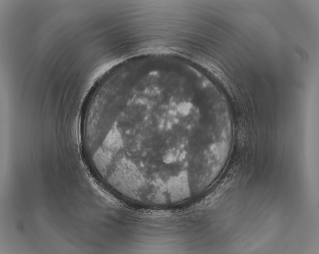 X0000111581030200908131314