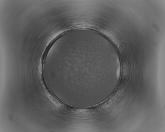 X0000111581031200908131314