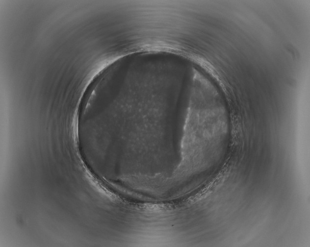 X0000111581032200908131314