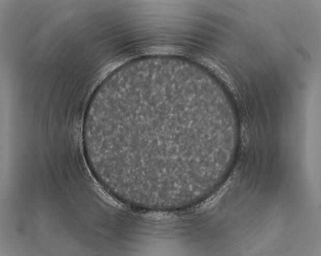 X0000111581033200908131314