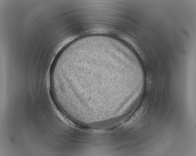 X0000111581034200908131314