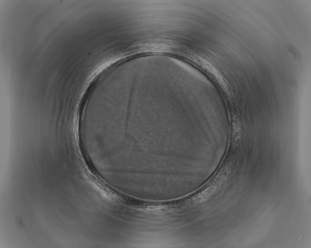 X0000111581035200908131314