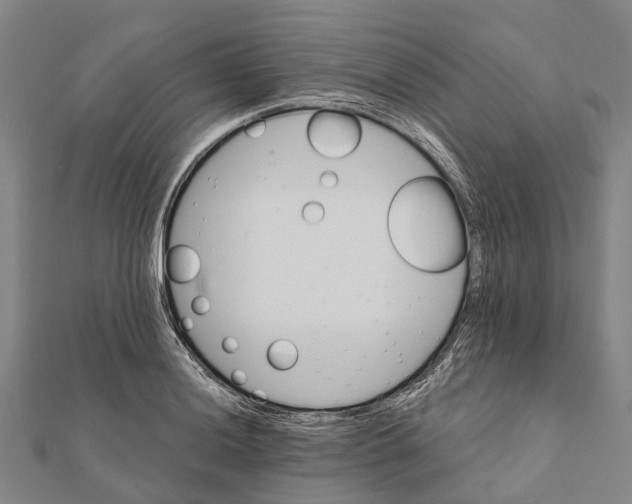 X0000111581036200908131314