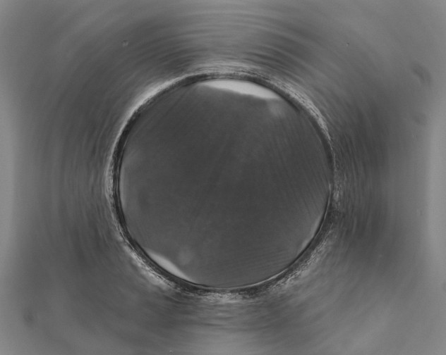 X0000111581037200908131314