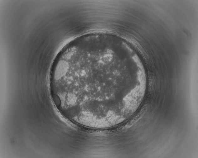 X0000111581038200908131314