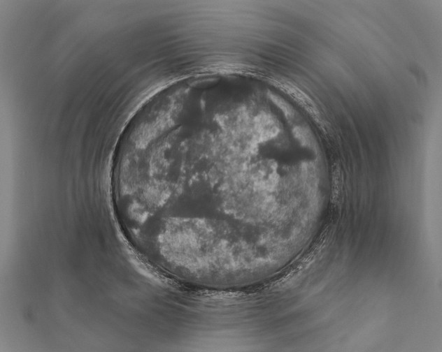 X0000111581039200908131314