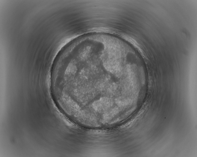 X0000111581040200908131314