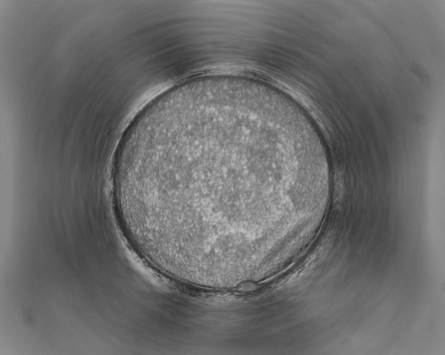 X0000111581042200908131314