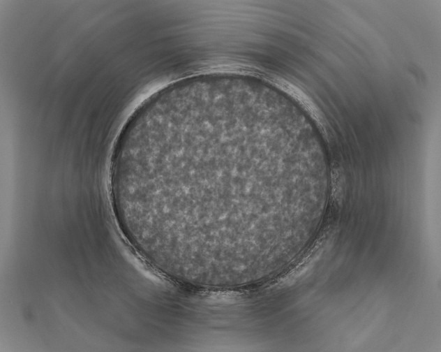 X0000111581043200908131314