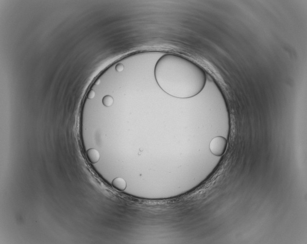 X0000111581044200908131314