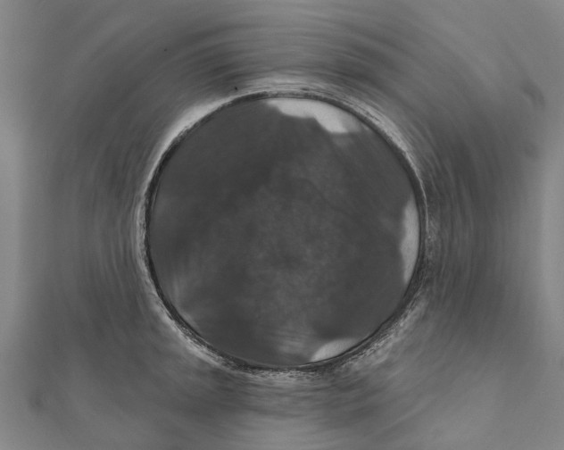 X0000111581045200908131314