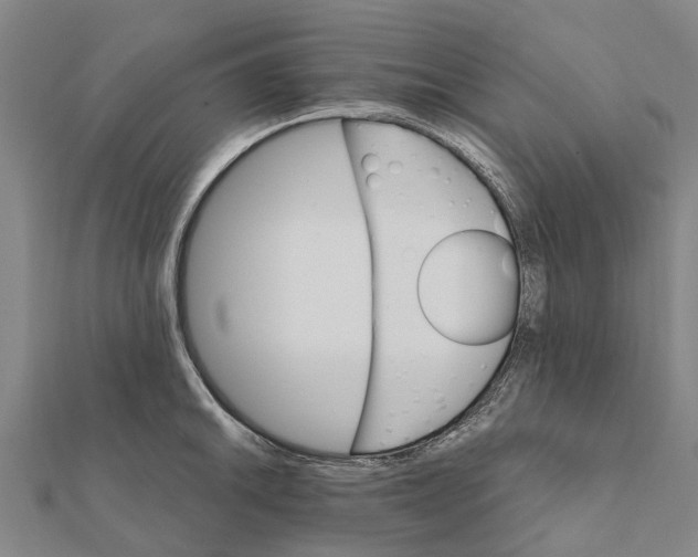 X0000111581046200908131314