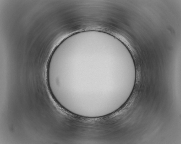 X0000111581047200908131314