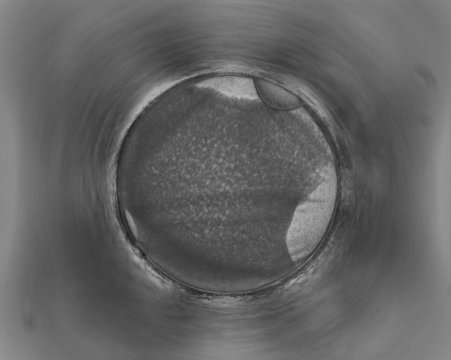 X0000111581048200908131314