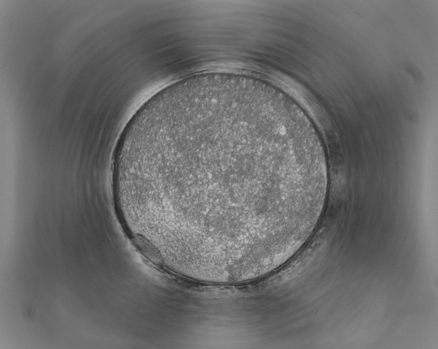 X0000111581050200908131314