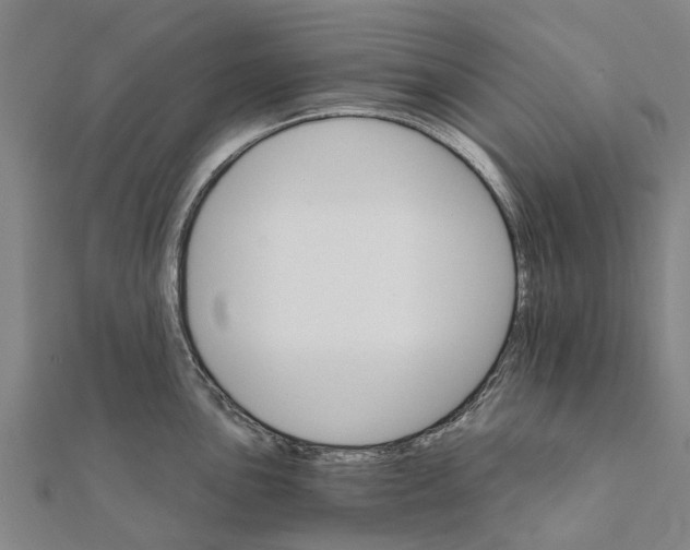 X0000111581051200908131314