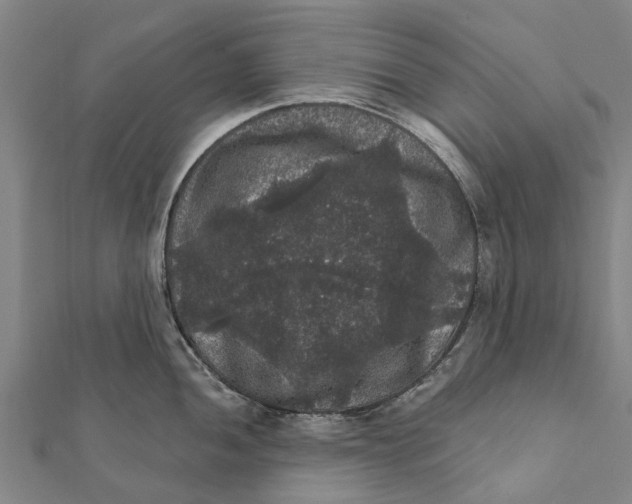 X0000111581052200908131314