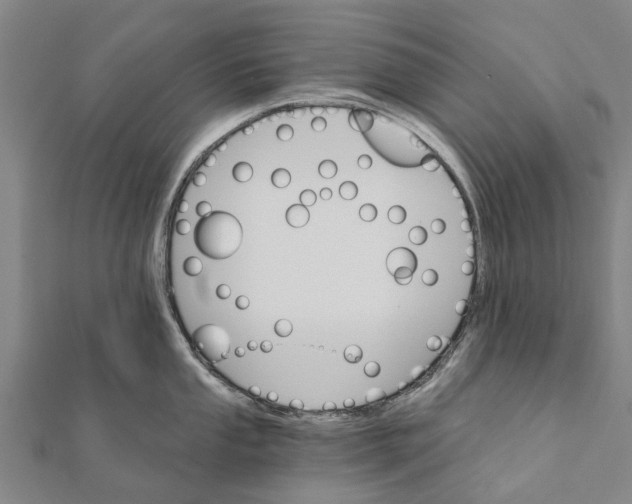 X0000111581053200908131314